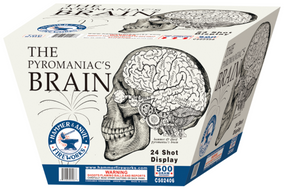 THE PYROMANIACS BRAIN